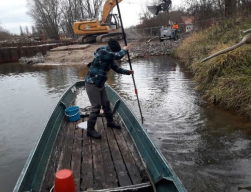 Ökologische Durchgängigkeit Großes Spreewehr / Sohlrampe